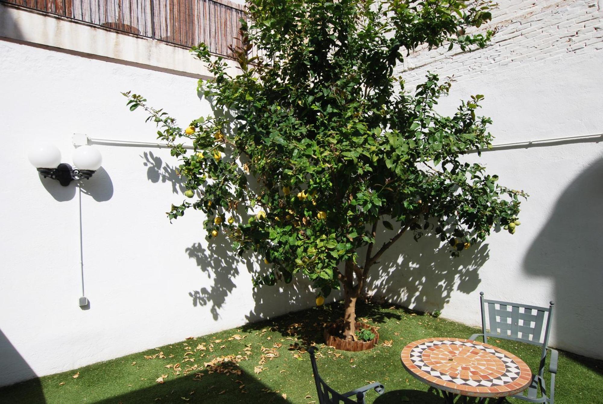 Apartmán Cami Ral Premiá de Mar Exteriér fotografie